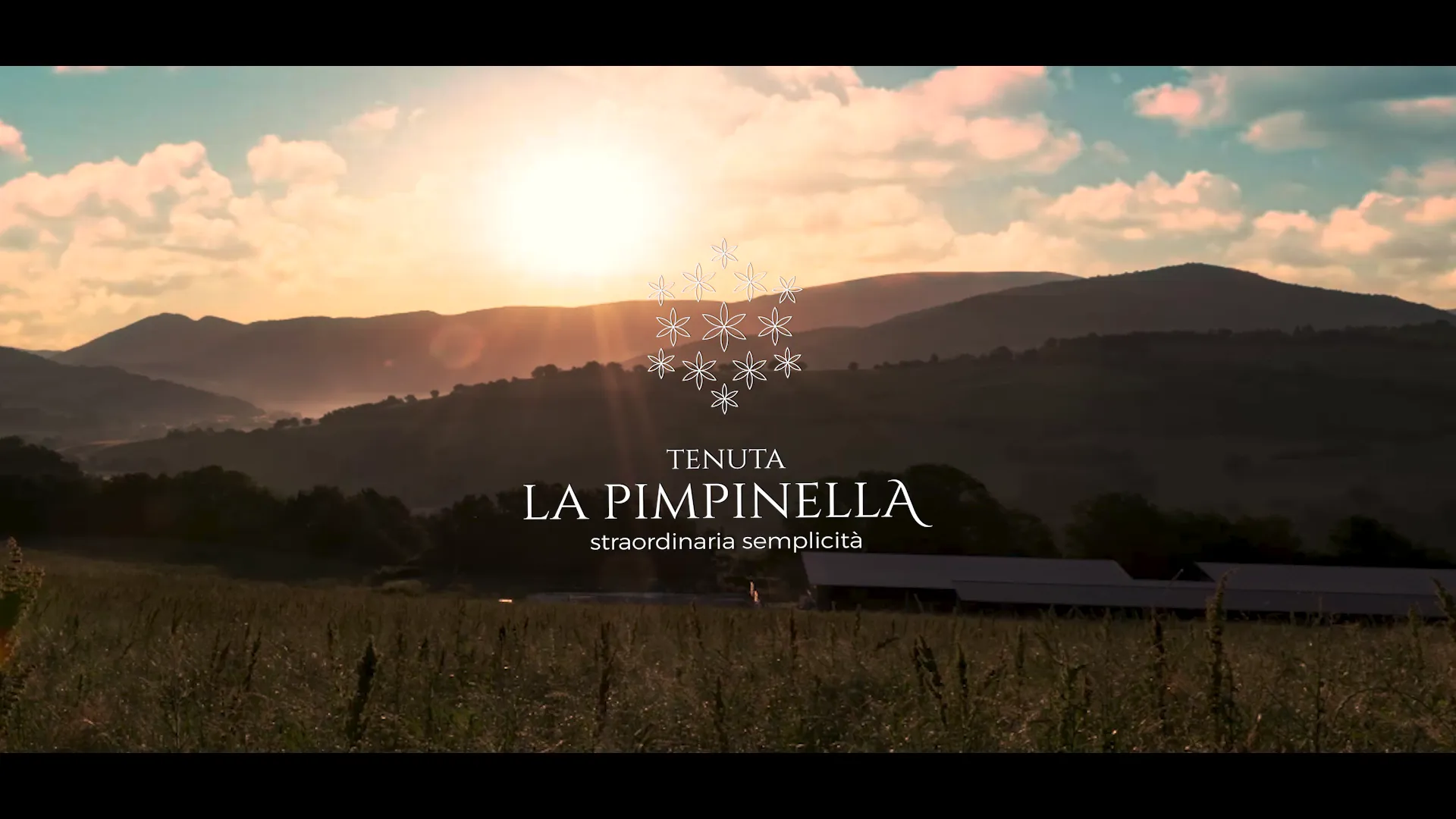 Tenuta "La Pimpinella"